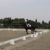 dressurturnier_21.-22.08_teil1 4